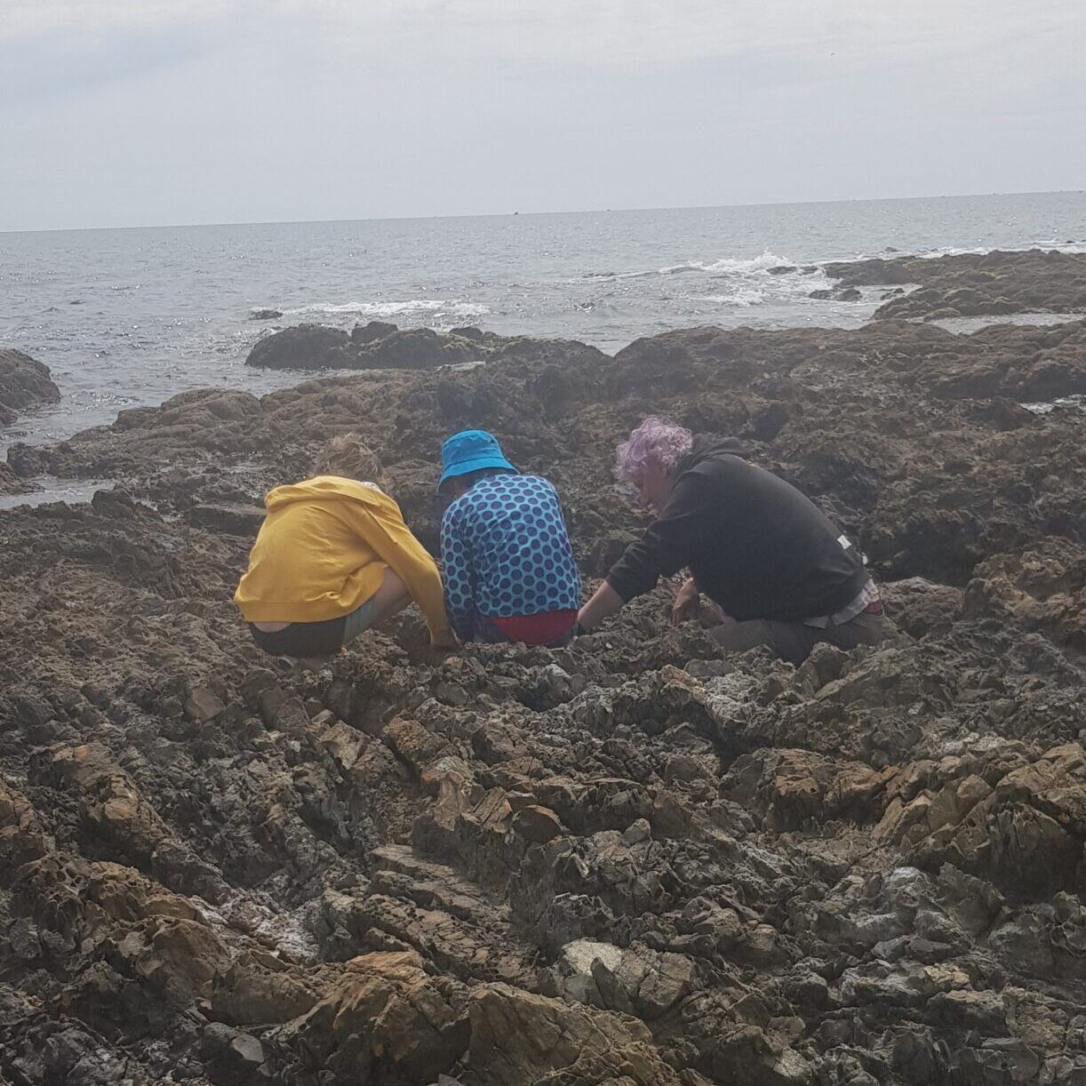 Children and an adult looking into a rock pool